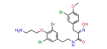 Aplysamine 3